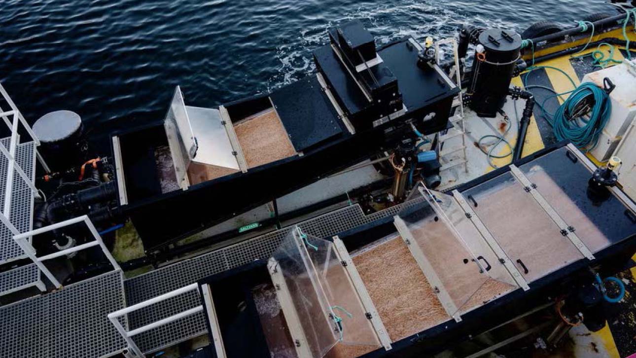 I AquaPhoenix-prosjektet som Ragn-Sells Havbruk og Eide Fjordbruk er med på samles, lagres og fraktes fiskeslammet. Målet er at det skal kunne brukes til langt flere ting enn biogass. (Foto: Elias Dahlen)