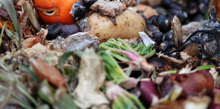 Bilde av emballert matavfall.