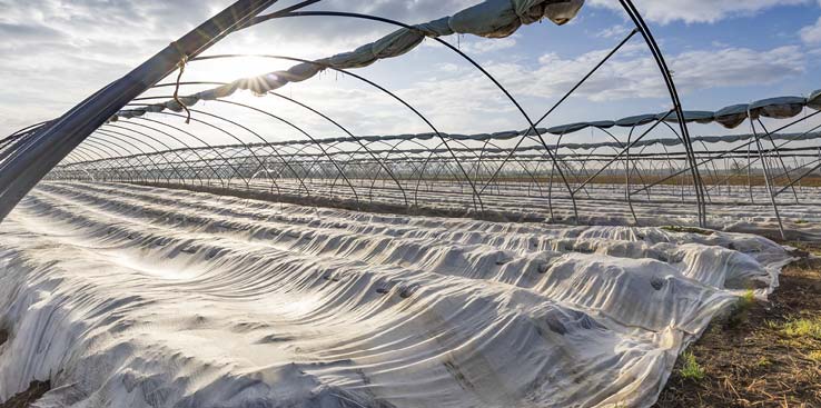 Bilde av fiberduk fra landbruk.