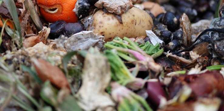 Bilde av matavfall.