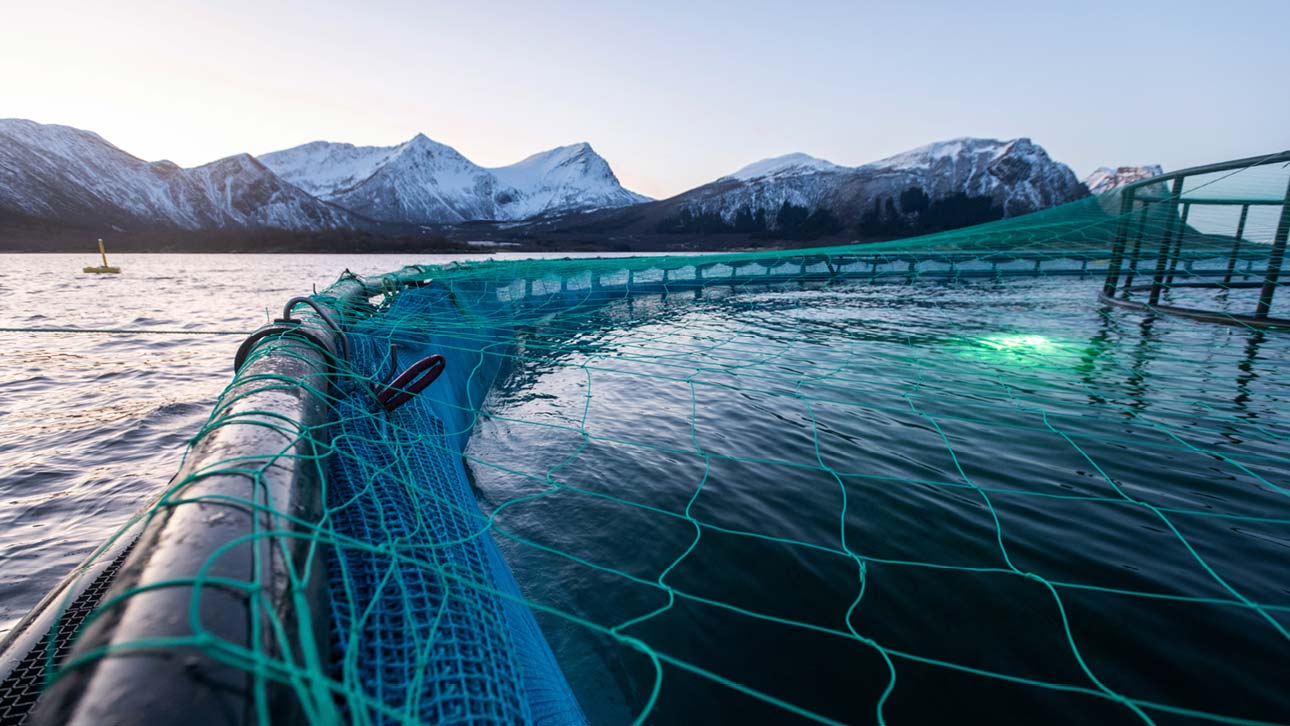 Foredling av fiskeslam - Ragn-Sells Havbruk.