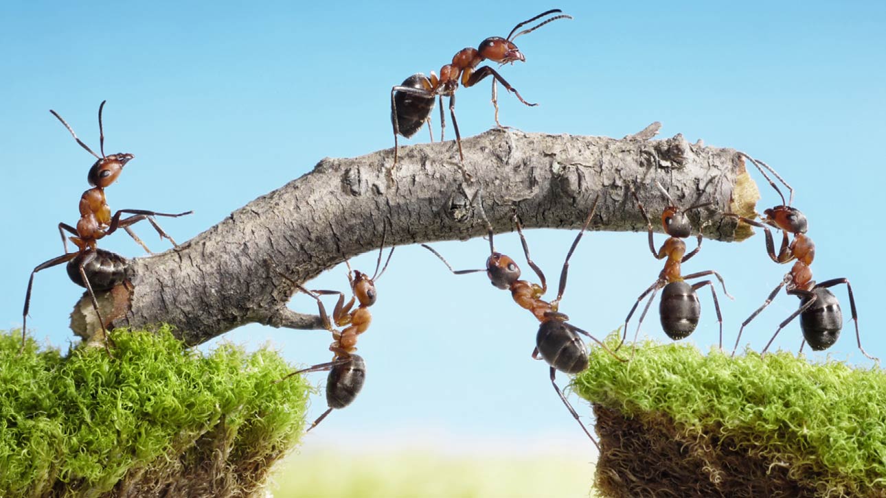 Avfallsløsninger som er tilpasset din bransje.