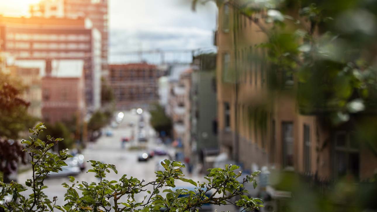 Visjon, misjon og verdier