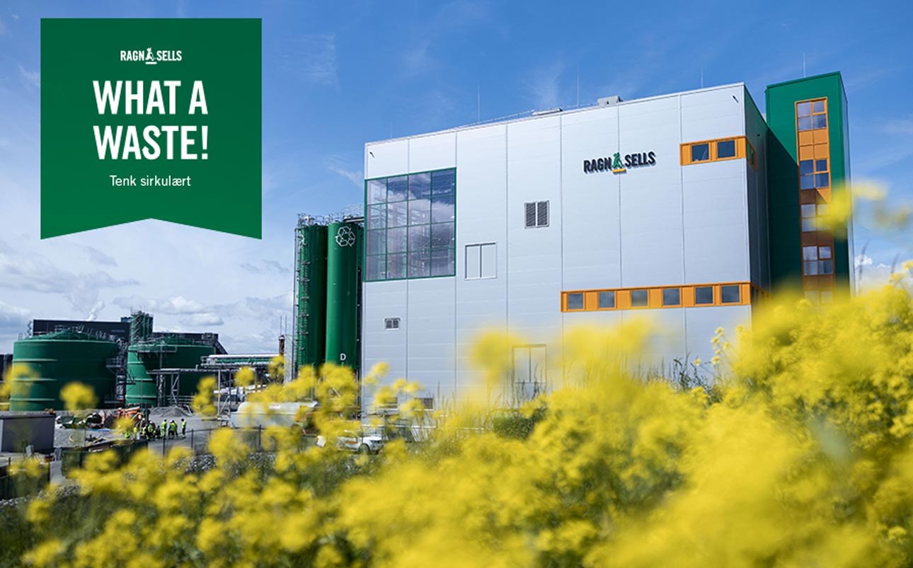 Fra asken til saltet